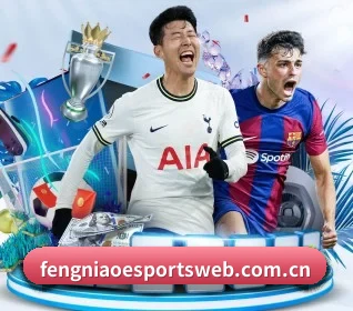 坚持做好基础的事 - 长期内容价值积累(Fengniao Esports)
